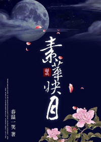 Tố Hoa Ánh Nguyệt