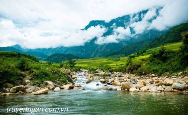 Hạ ơi