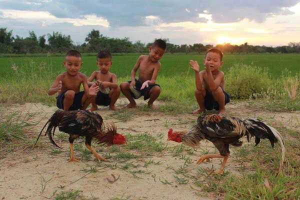 Ống phốc
