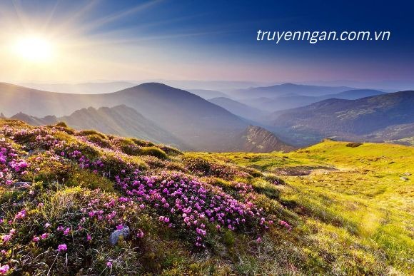 Ta có hẹn ở đồi hoa Sim